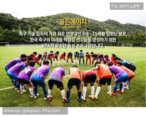 韩国足球运动员兵役问题的影响与解决方案探讨